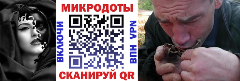 где найти наркотики  Руза  Галлюциногенные грибы Cubensis 
